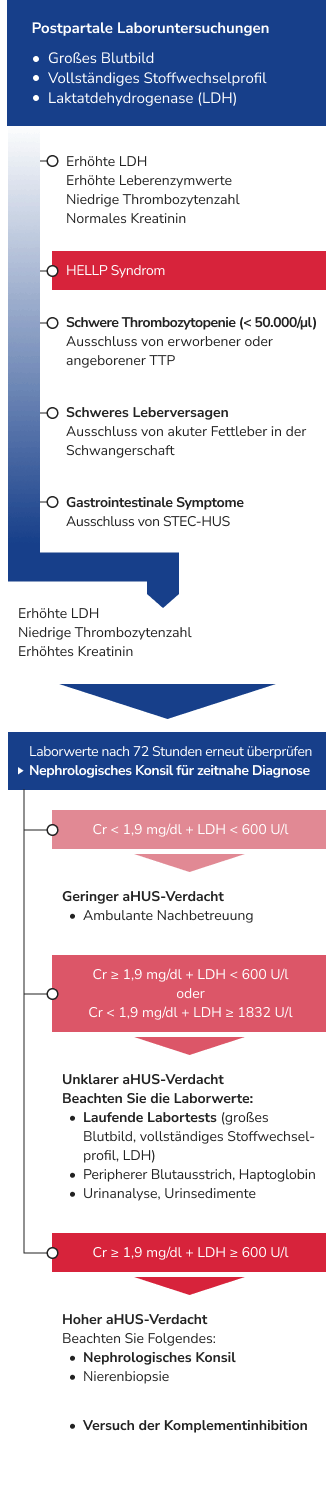 Differenzialdiagnostik-Algorithmus: aHUS und HELLP