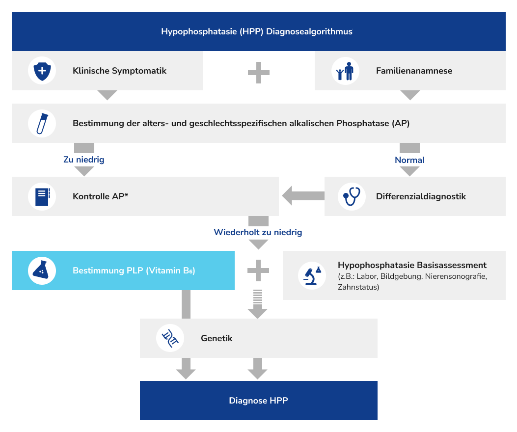 HPP Diagnosealgorithmus