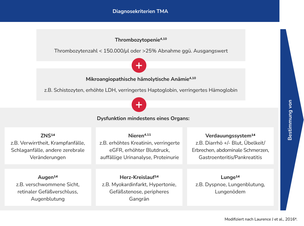 Algorithmus zur Differentialdiagnose TMA