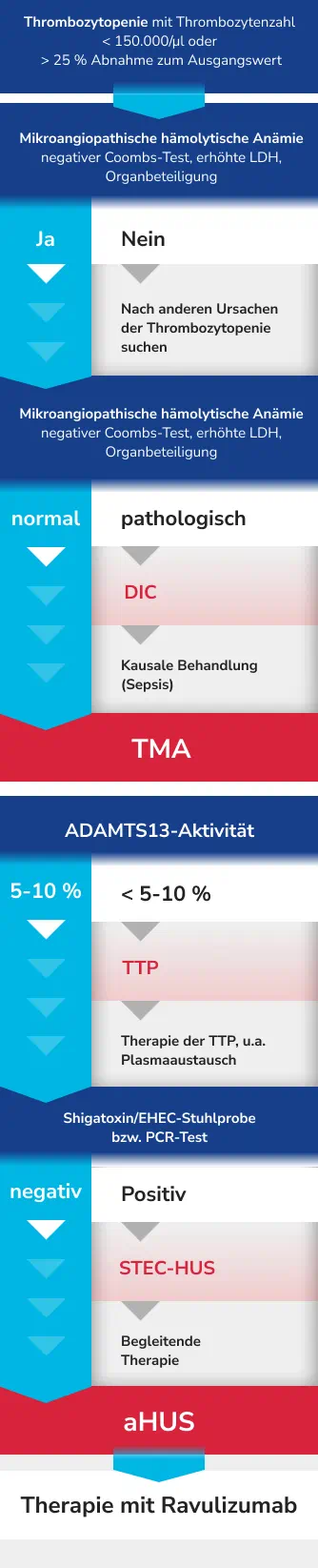 Ahus Algorithm TMA & HUS erkennen: aHUS, STEC-HUS, TTP