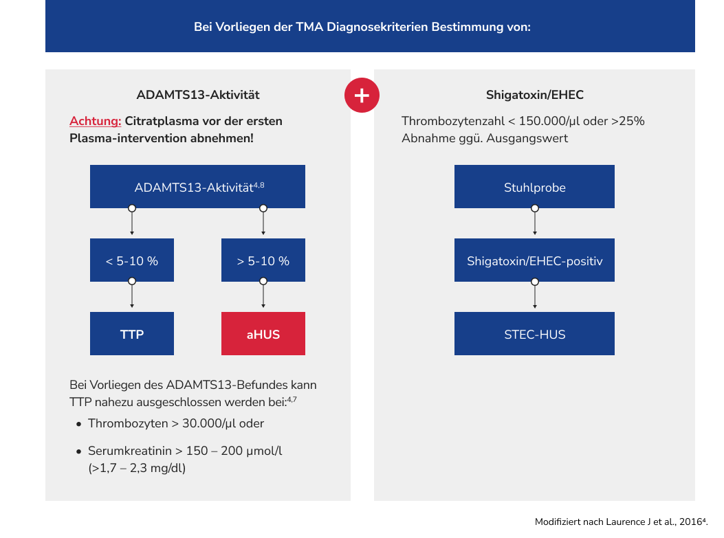 Ahus Algorithm TMA erkennen: Der erste Schritt zur aHUS-Diagnose