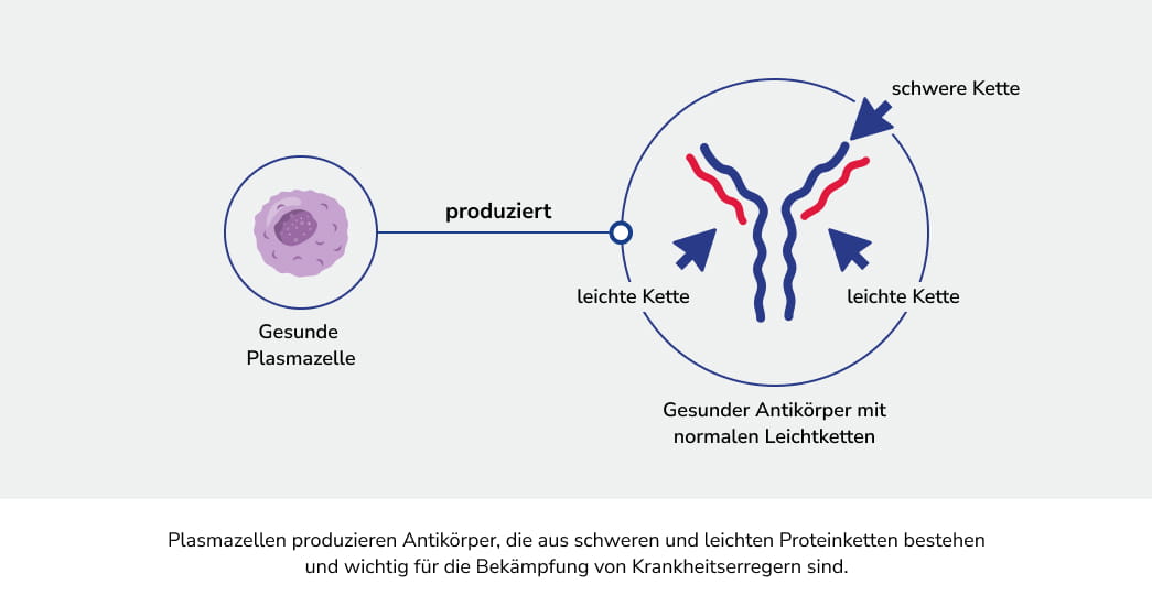 AL-Amyloidose: Diagnose, Symptome & Behandlung | Alexion