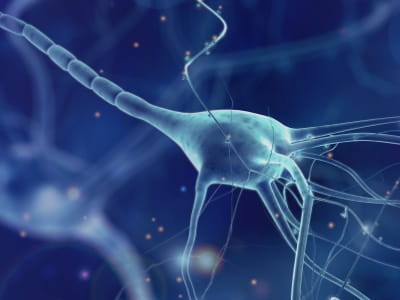 Lächelnde Frau mit Neuromyelitis-optica-Spektrum-Erkrankungen (NMOSD) / Devic-Syndrom in der Küche