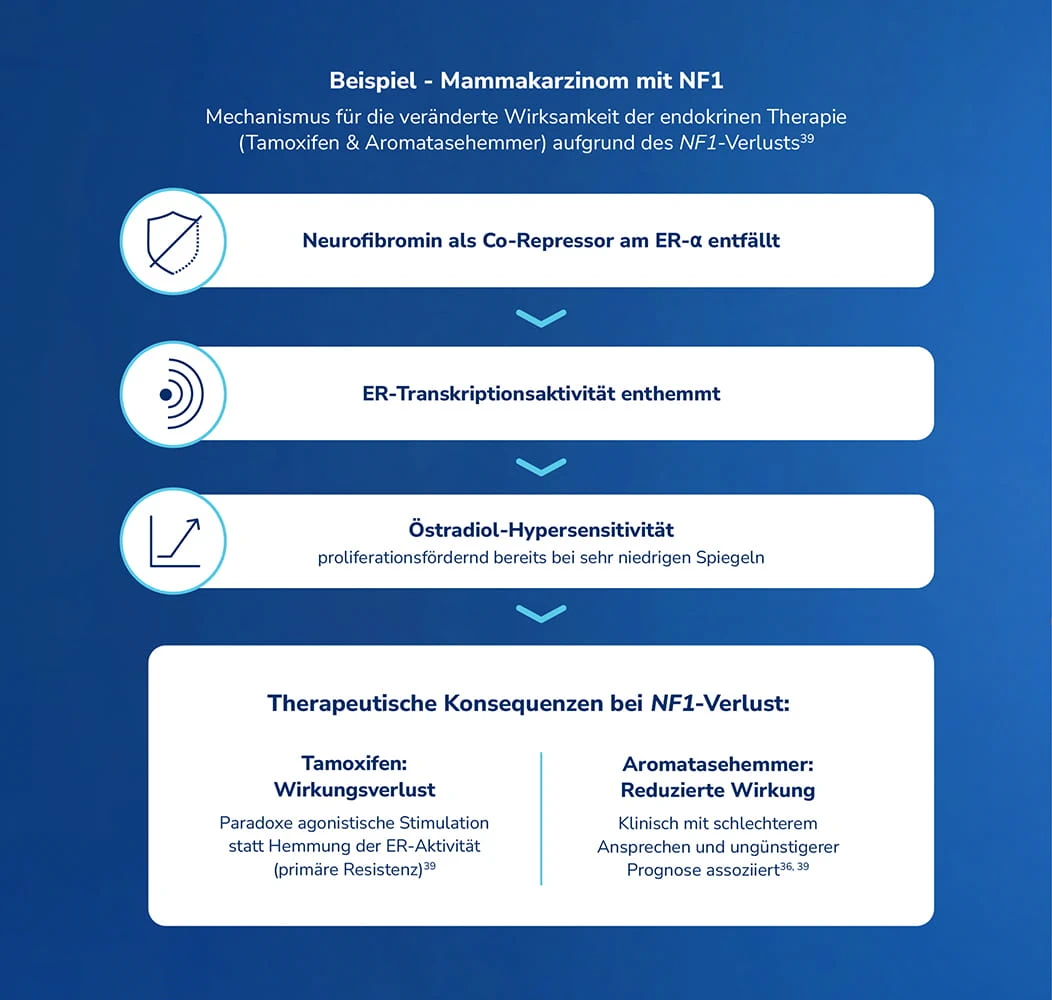 Beispiel - Mammakarzinom bei NF1: Der Verlust von Neurofibromin als Co-Repressor am ER-α führt zu enthemmter ER-Transkriptionsaktivität und Östradiol-Hypersensitivität. Als therapeutische Konsequenzen bei NF1-Verlust werden Wirkungsverlust von Tamoxifen und eine reduzierte Wirkung von Aromatasehemmern dargestellt.